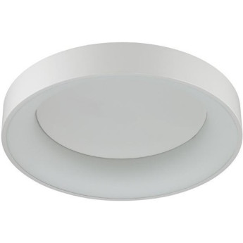 Потолочный светодиодный светильник ODEON LIGHT SOLE 4066/40CL