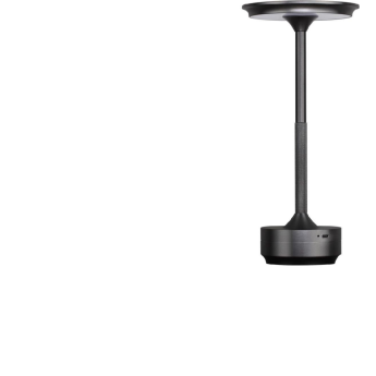 Настольная лампа ODEON LIGHT TET-A-TET 5034/6TL
